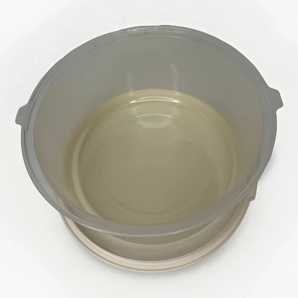 Vintage RUBBERMAID Almond Sheer Cake Keeper Carrier SERVIN SAVER Container #0035